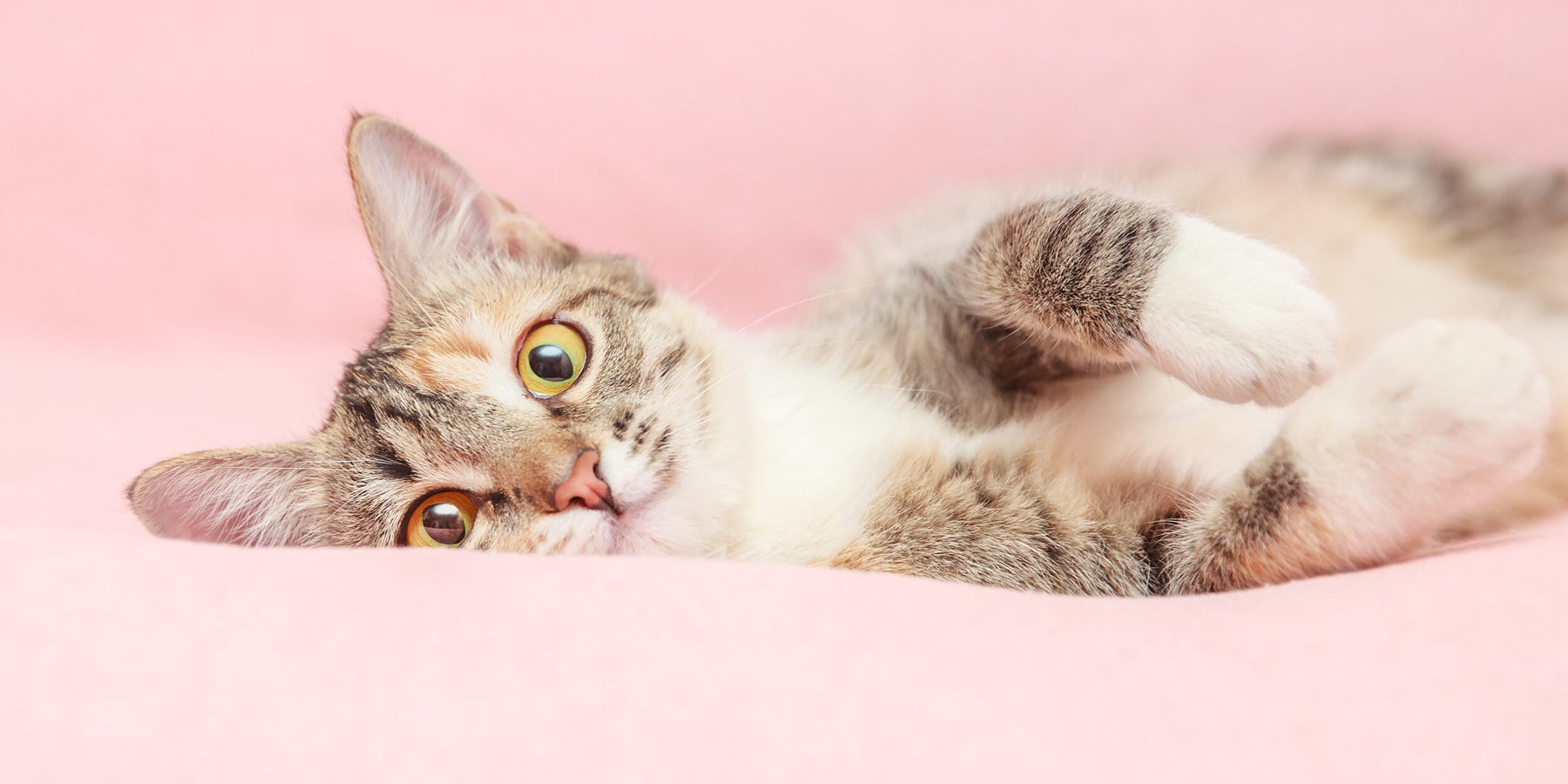 Even niks! Waarom even niks doen goed voor je is (en hoe je dat doet)