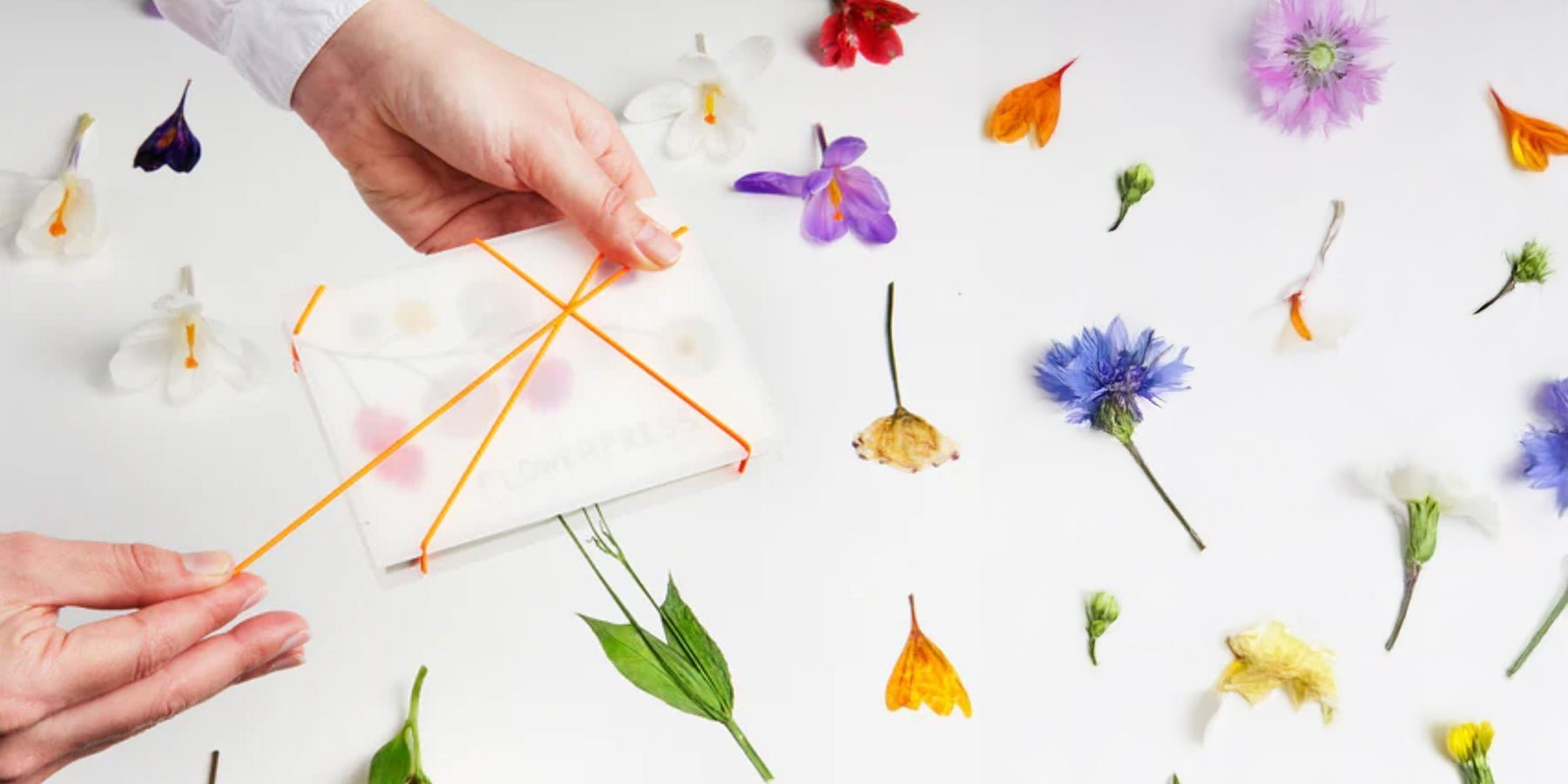 droogbloemen hobby
