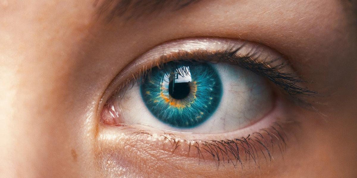 LASIK of TransPRK: welke ooglaserbehandeling past bij jouw ogen?