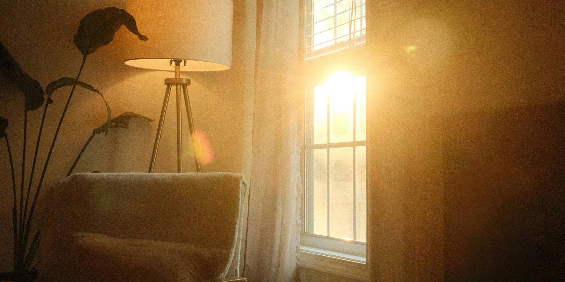 Licht, sfeer & een fijn gevoel: zo kies je raambekleding waar je blij van wordt