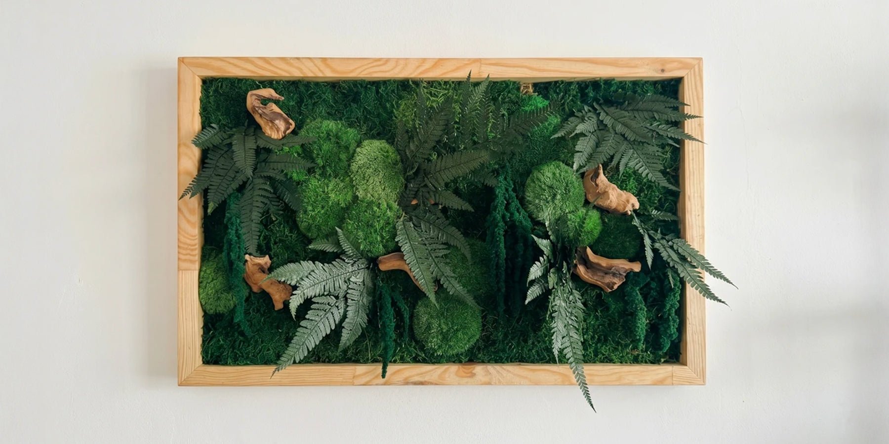 Groene wanddecoratie: Breng de natuur in huis met moskunst