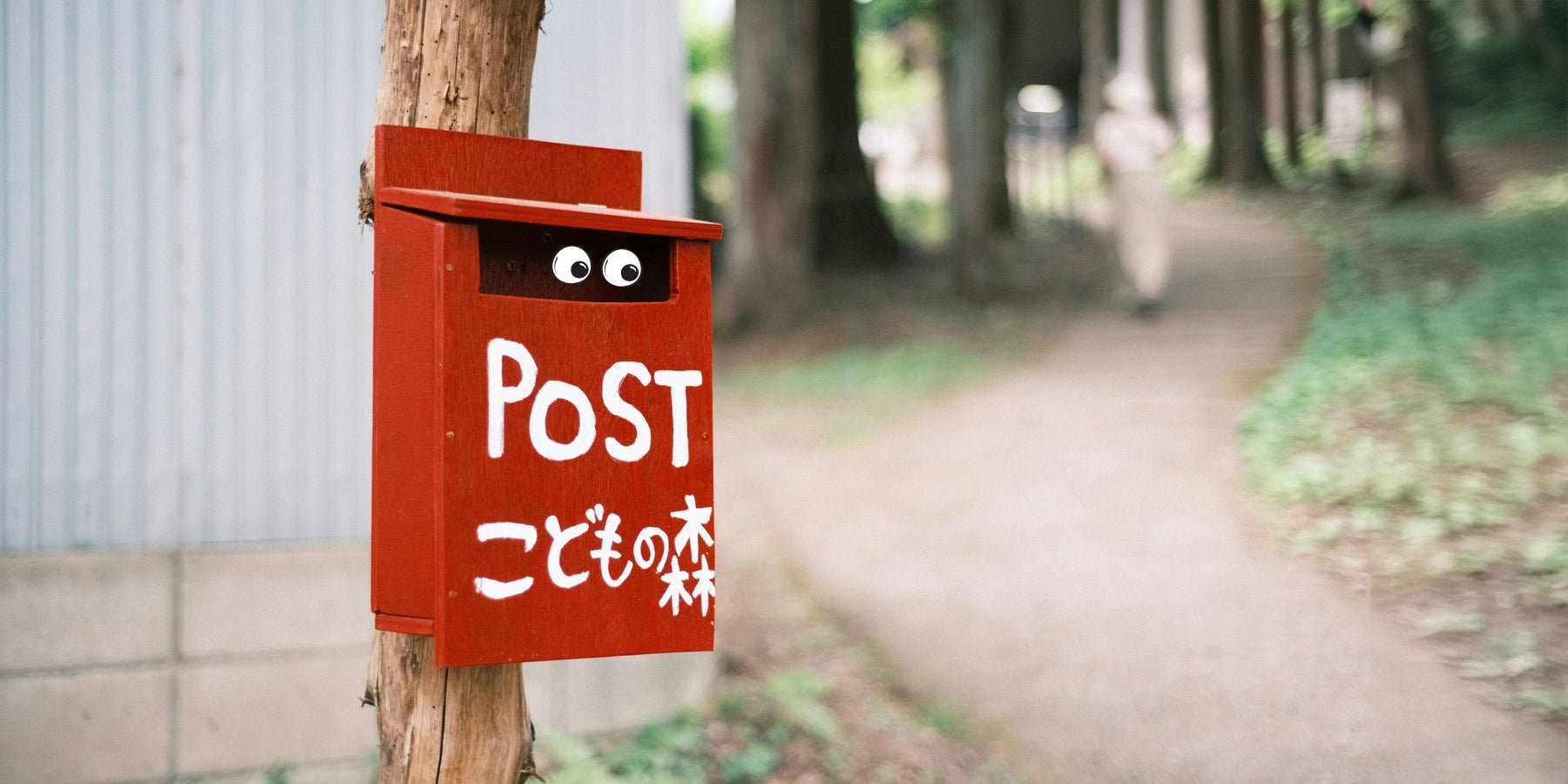 Verrassing in je brievenbus: waarom Postcrossing het perfecte kleine gelukje is
