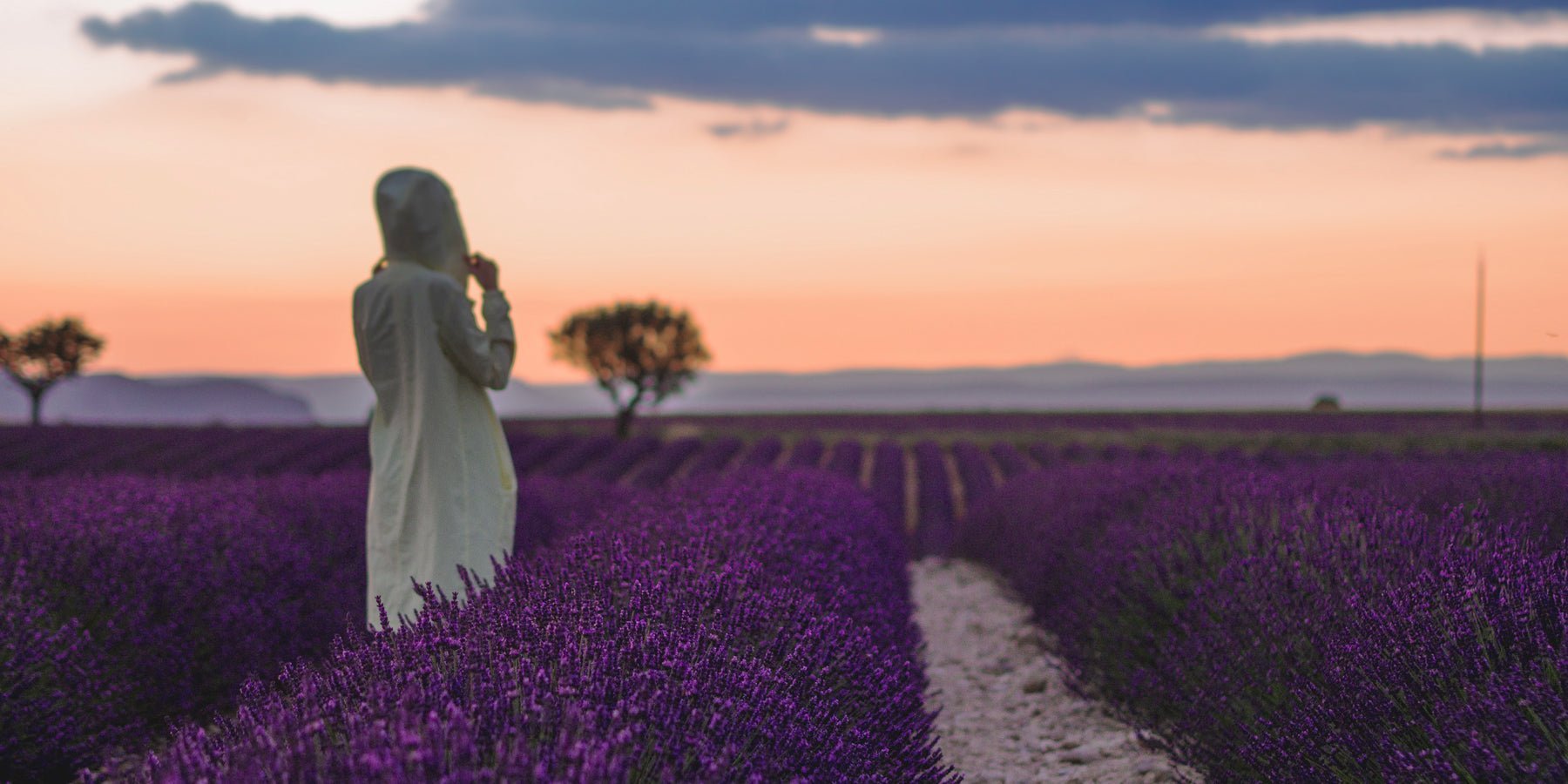 Webshop van de maand oktober: Sofia's Brocante - Happlify