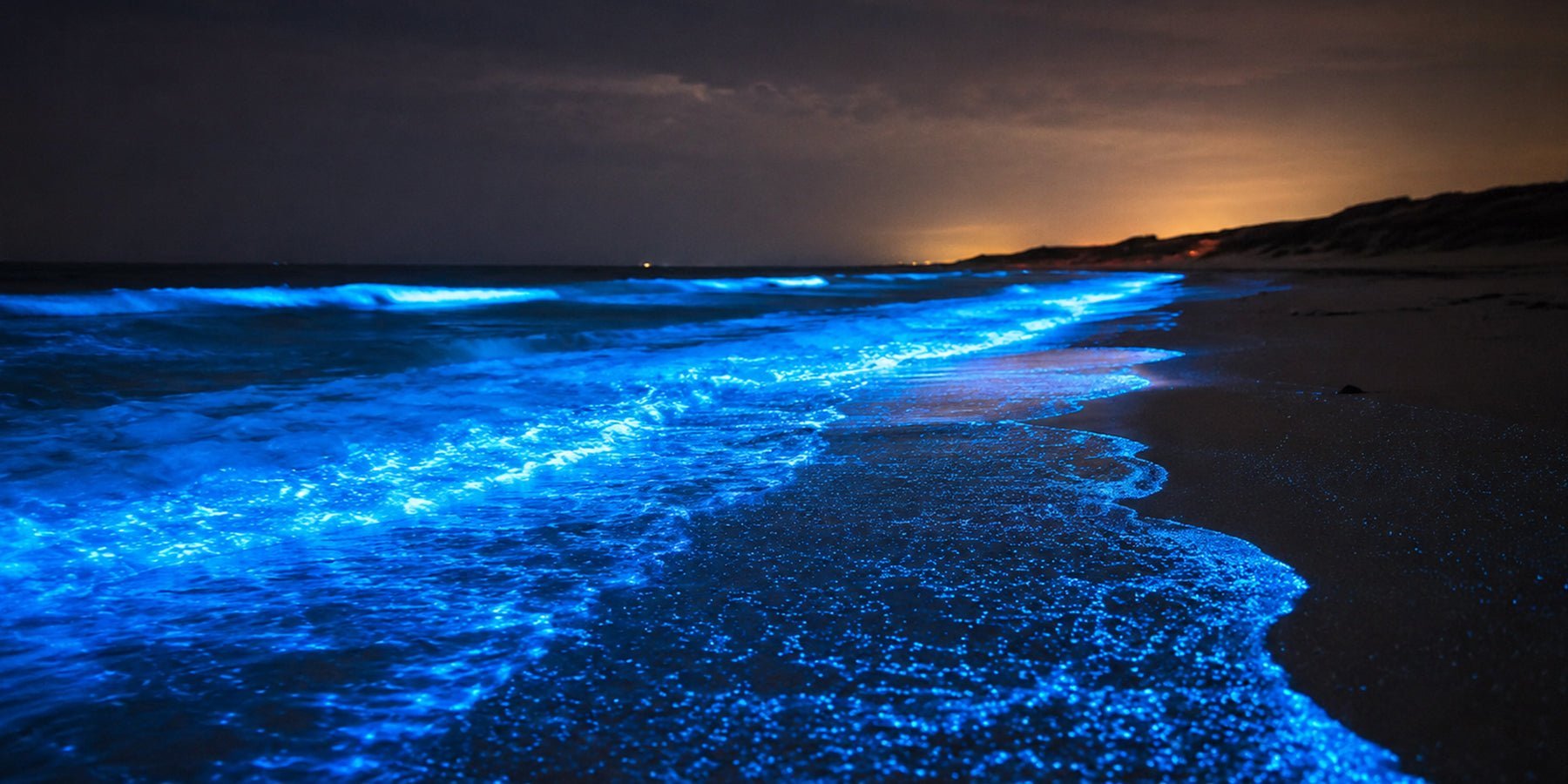 De zee gaf een gratis lichtshow: alles over zeevonk op Scheveningen
