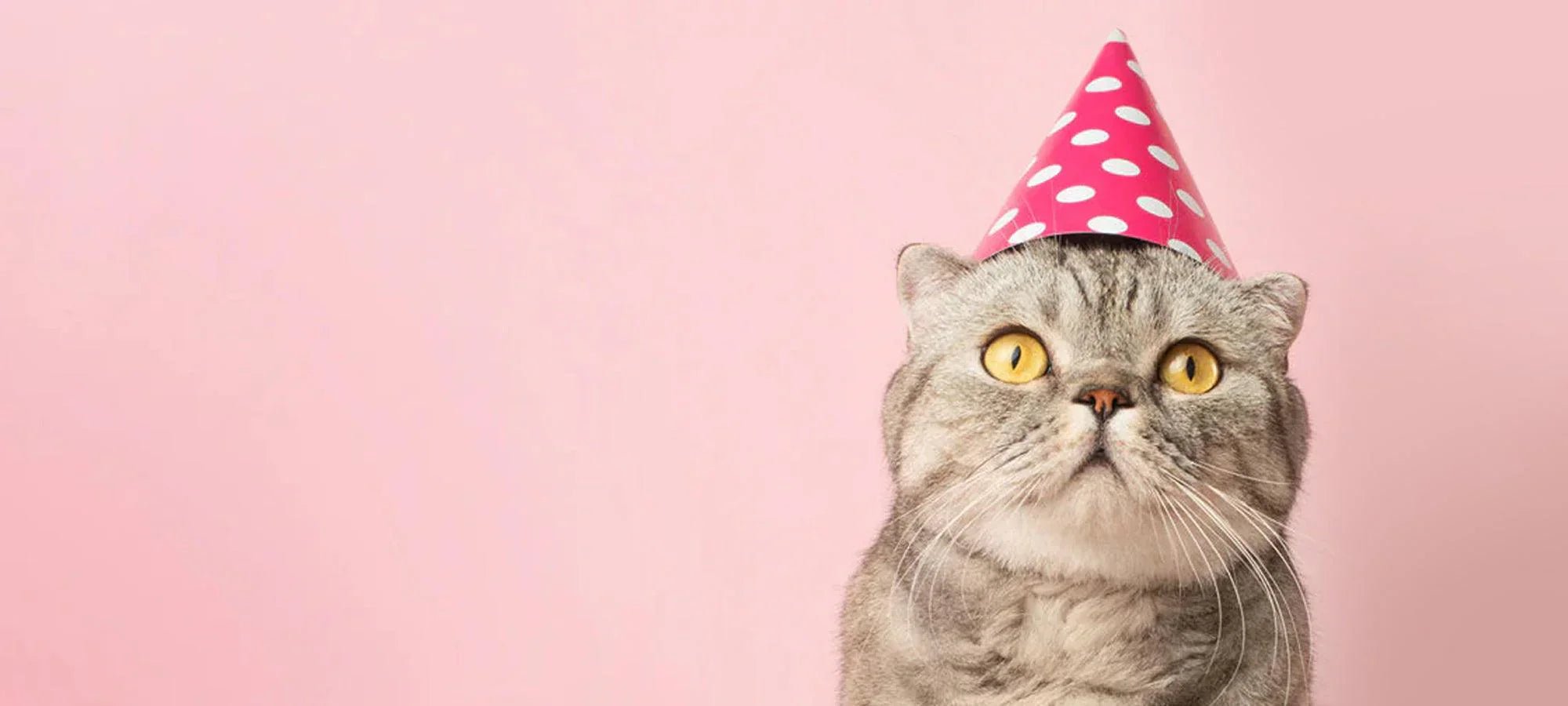 Housewarming cadeaus | Happlify