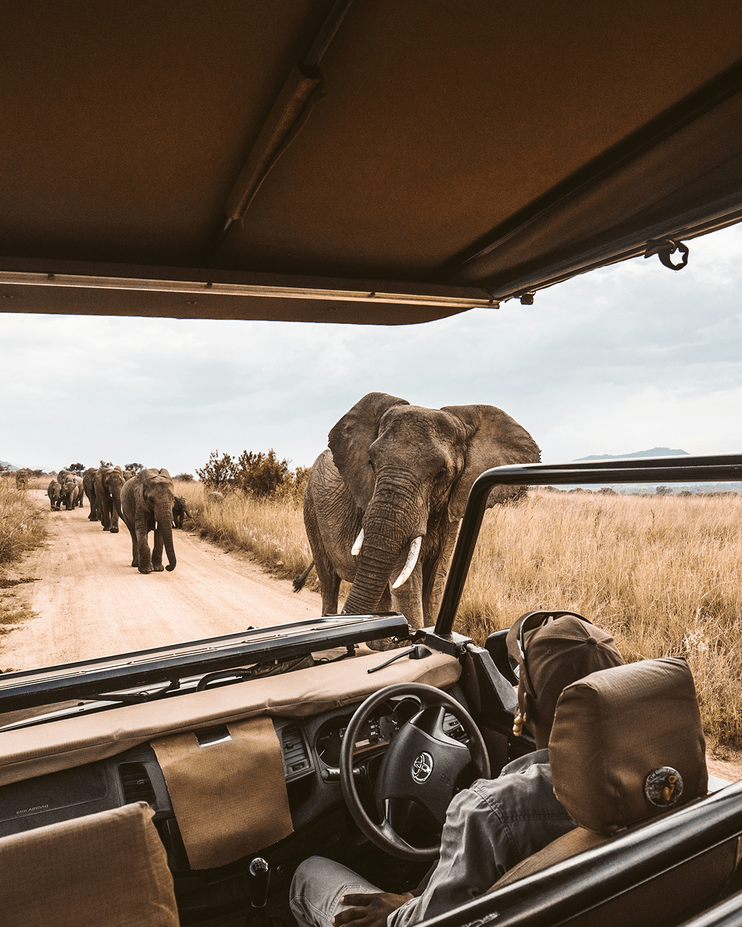 Afrika Plus voor onvergetelijke safari’s en reizen | Happlify happy place & webshop gids