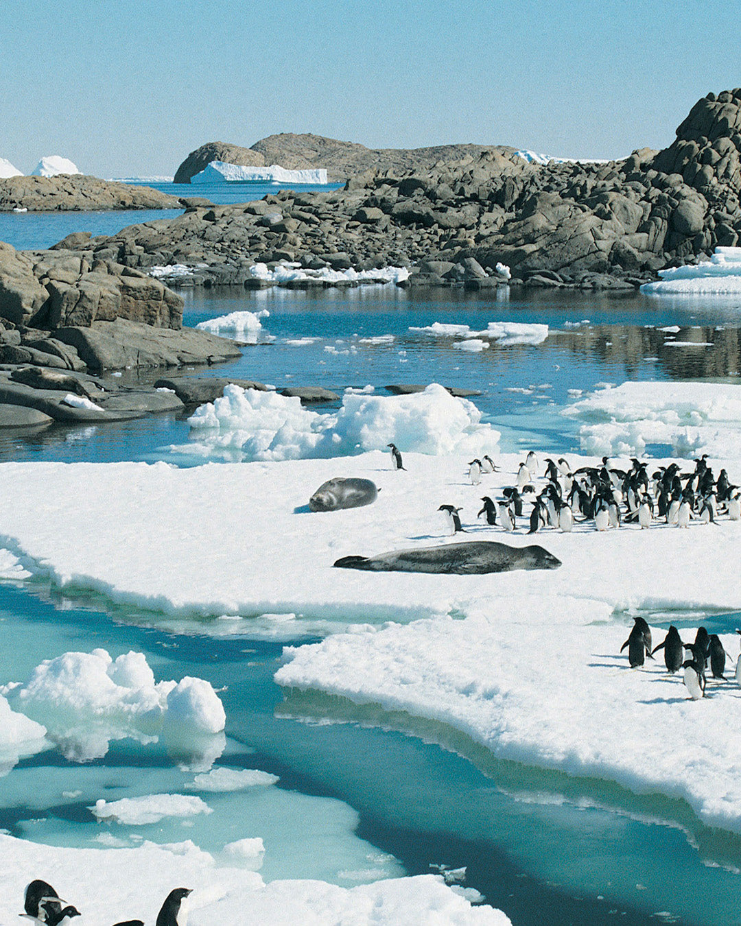 Expeditie Antartica: unieke zeereis naar het einde van de wereld