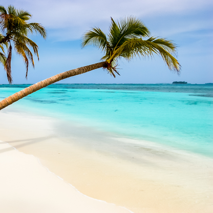 Caribbean cruise, dé droomvakantie naar parelwitte stranden - Happlify