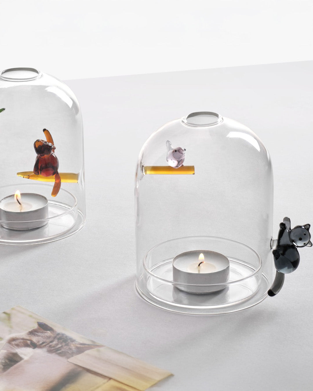 Cornelia Servies