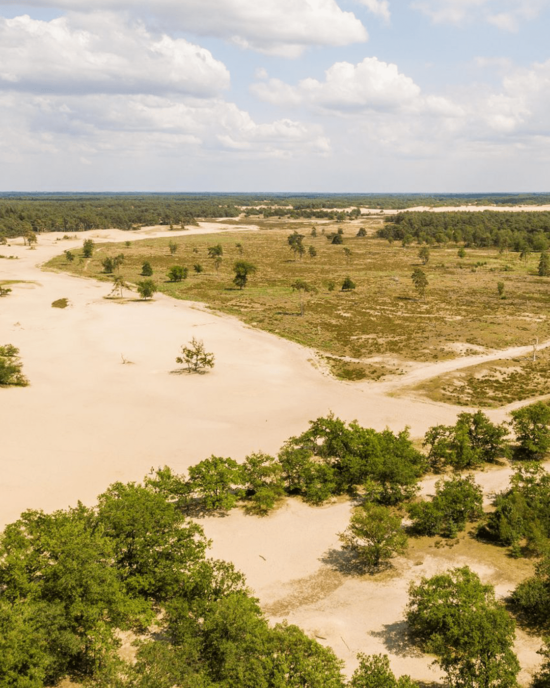 Vakantiepark Duinhoeve familiepark bij de Loonse Duinen | Happlify happy place & webshop gids