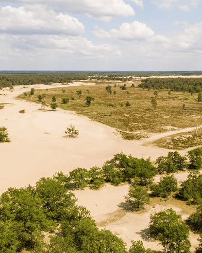 Vakantiepark Duinhoeve familiepark bij de Loonse Duinen | Happlify happy place & webshop gids