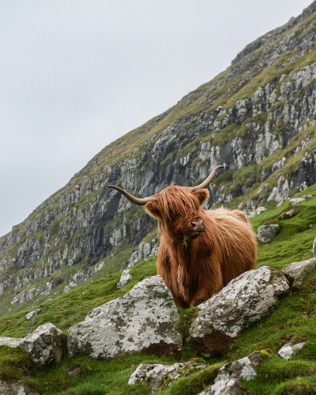 Schotland vakantie, 15 - dagen door de Highlands | Happlify happy place & webshop gids