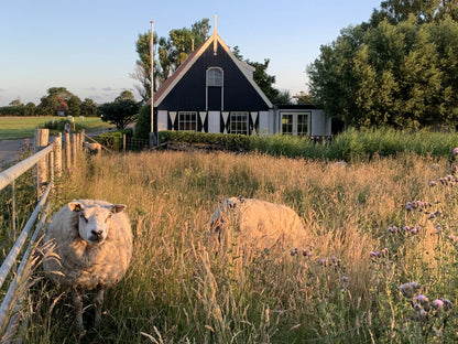 Vakantiehuis direct aan de Waddendijk op Texel | Happlify happy place & webshop gids