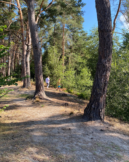 Center Parcs De Vossemeren