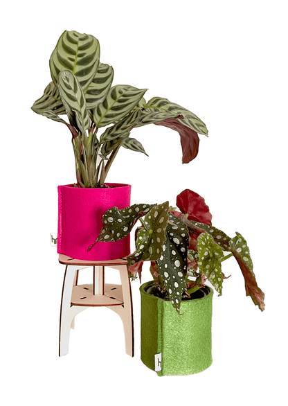 Houtmoed | Happlify happy place & webshop gids