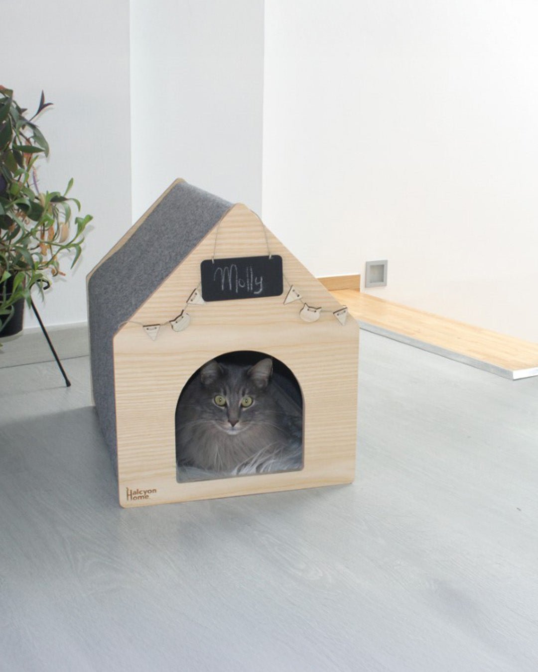Ik miauw van jou | Happlify feel good webshop gids en blog