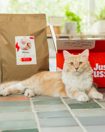 Just Russel | Happlify happy place & webshop gids