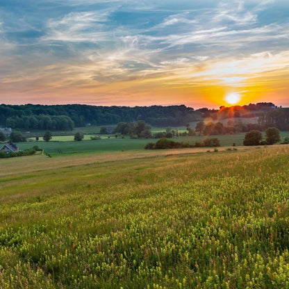 Landgoed Schinvelderhoeve in Zuid - Limburg | Happlify feel good webshop gids en blog