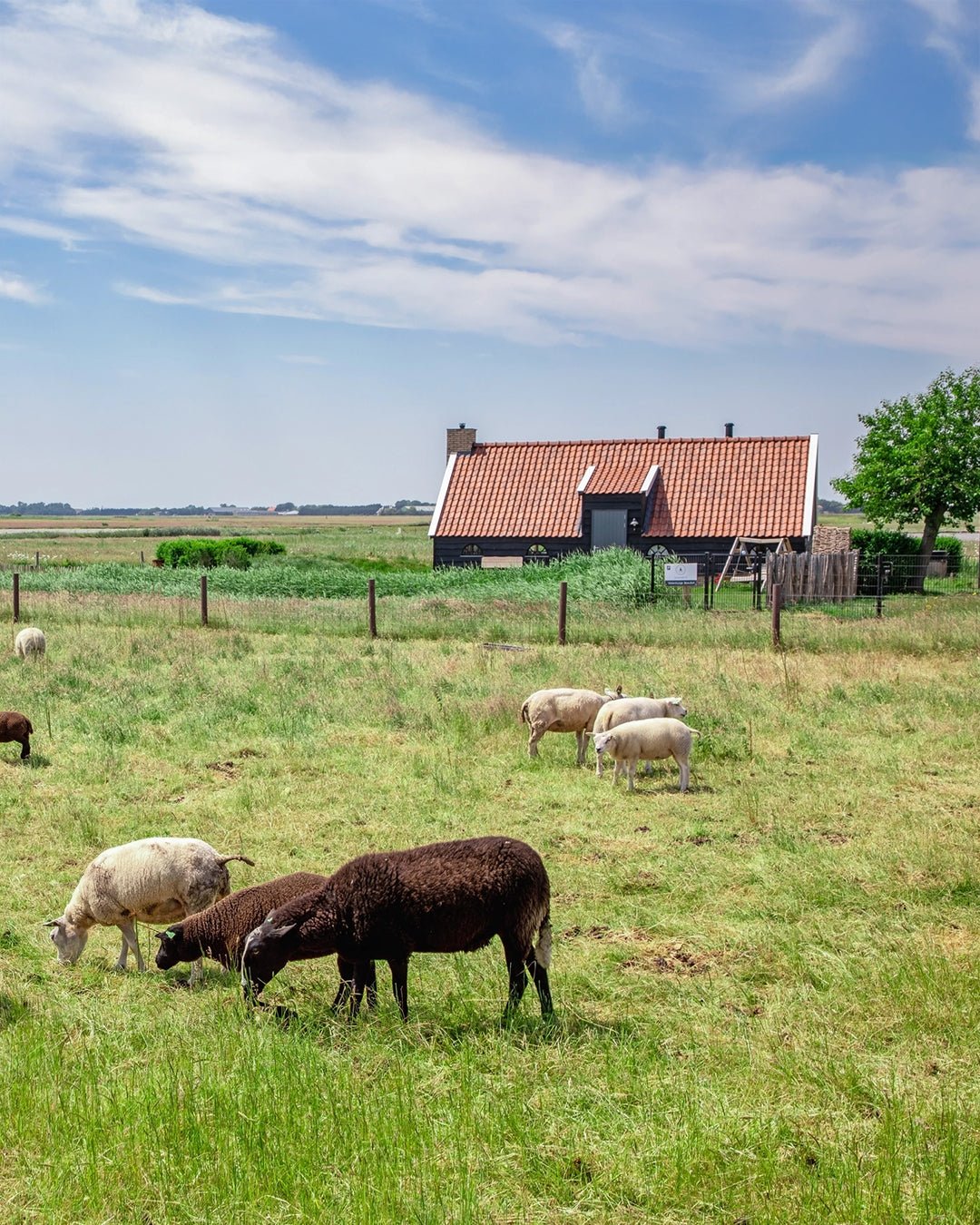 Molenhuisje Beaufort op Texel | Happlify feel good webshop gids
