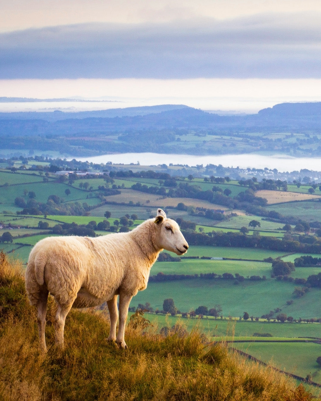Vakantie Wales: ontdek natuur, kastelen en ruige kust