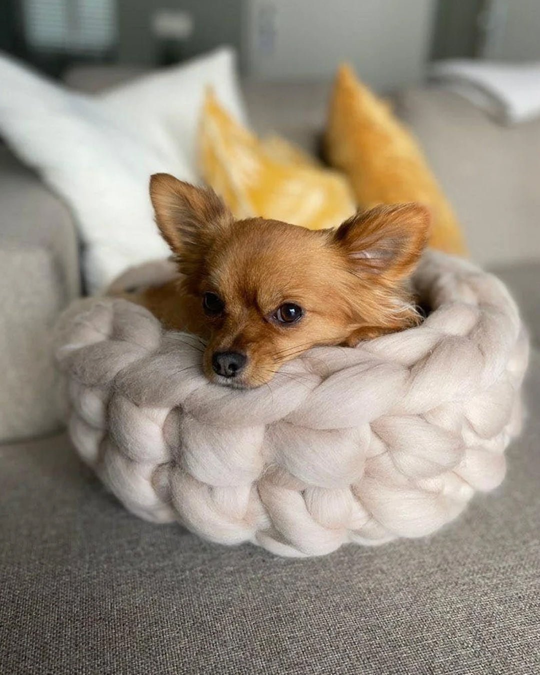 Wools by Nicky | Happlify feel good webshop gids en blog